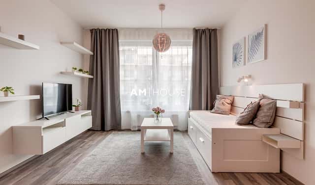 Pronájem bytu 1+kk 32 m², Breitfeldova, Praha 8 – Karlín