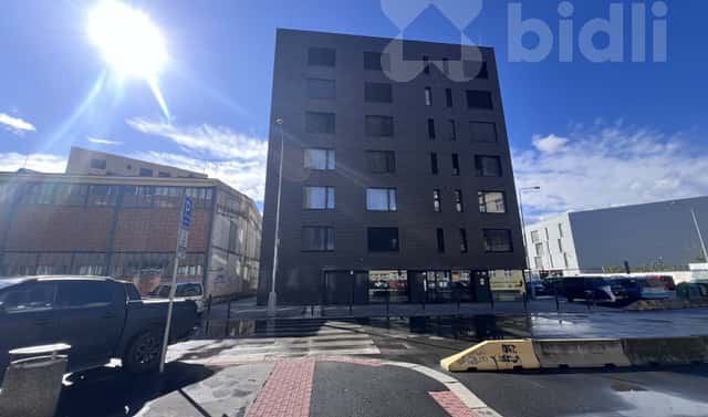 Pronájem bytu 2+kk 55 m², Jankovcova, Praha 7 – Holešovice