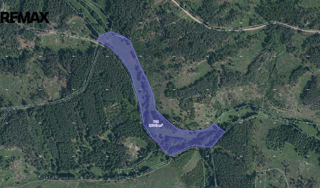 Prodej pole 26 743 m², Planá, okres Tachov