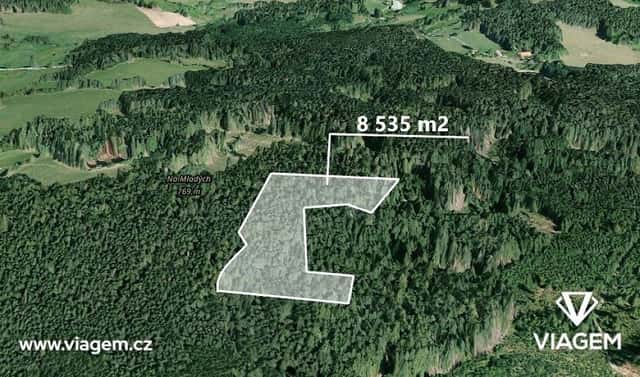 Prodej lesa 1 219 m², Volyně, okres Strakonice