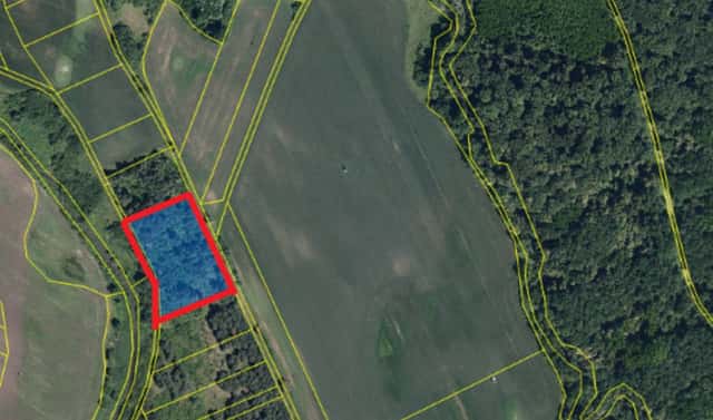 Prodej lesa 3 405 m², Břeclav – Charvátská Nová Ves