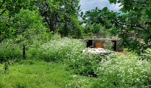 Prodej stavebního pozemku 550 m², Bělotín – Nejdek, okres Přerov