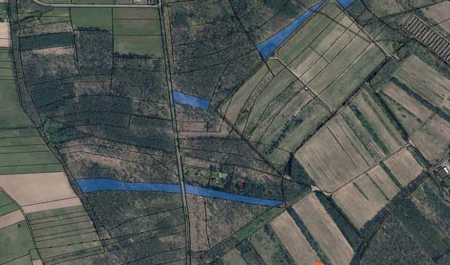 Prodej lesa 8 493 m², Černěves, okres Litoměřice