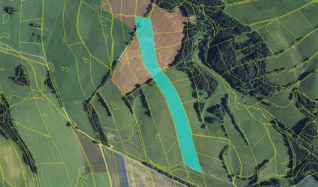 Prodej pole 42 854 m², Jedlí, okres Šumperk