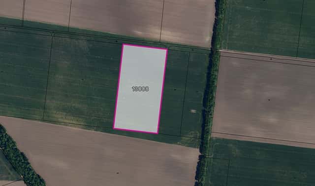 Prodej pole 33 026 m², Hrušovany nad Jevišovkou, okres Znojmo