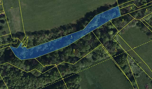 Prodej lesa 5 193 m², Vělopolí – Horní Bříza, okres Frýdek-Místek