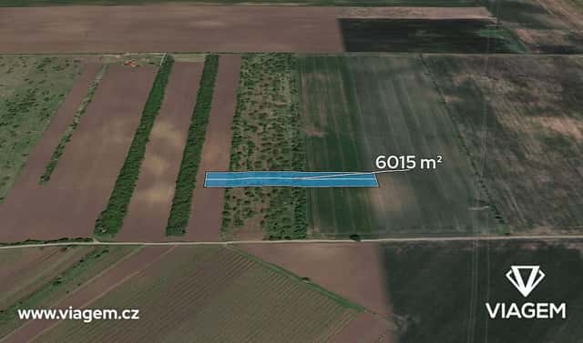 Prodej pole 1 002 m², Hrušky, okres Břeclav