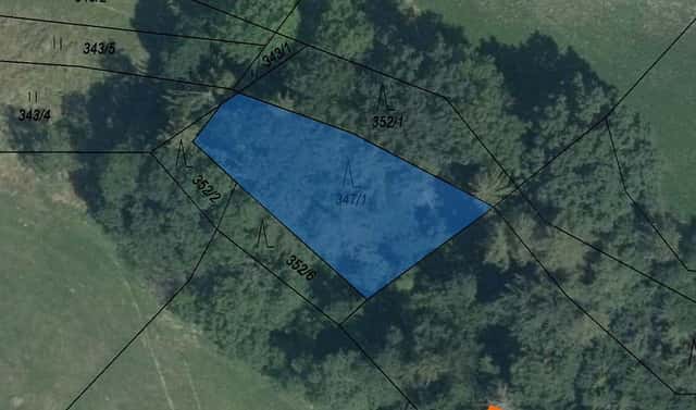 Prodej lesa 637 m², Libina, okres Šumperk