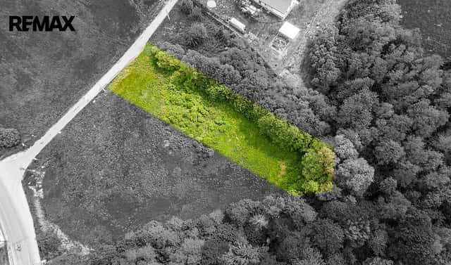 Prodej stavebního pozemku 2 529 m², Nový Bor, okres Česká Lípa