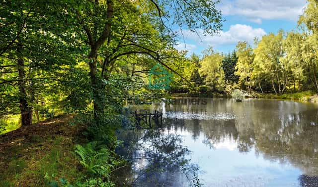Prodej pozemku 6 805 m², Benešov nad Černou – Klení, okres Český Krumlov
