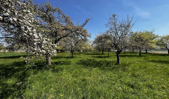 Prodej pozemku 7 559 m², Horní Újezd, okres Přerov