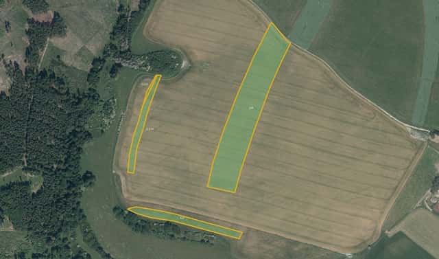 Prodej pole 14 096 m², Bohdaneč, okres Kutná Hora