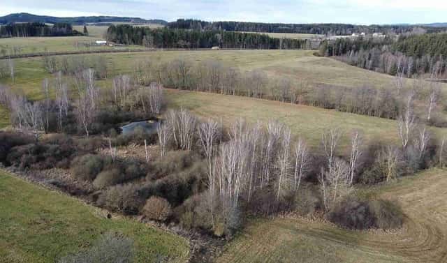 Prodej pozemku 18 915 m², Dolní Dvořiště – Trojany, okres Český Krumlov