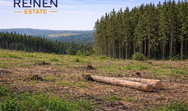 Prodej lesa 14 151 m², Řečice, okres Pelhřimov