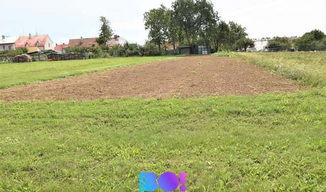 Prodej stavebního pozemku 5 182 m², Beňov, okres Přerov