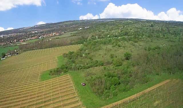 Prodej pozemku 16 843 m², Znojmo – Oblekovice