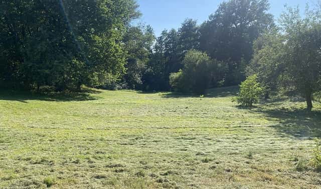 Prodej stavebního pozemku 2 500 m², Dolní Lutyně, okres Karviná