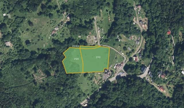 Prodej louky 5 198 m², Železný Brod, okres Jablonec nad Nisou