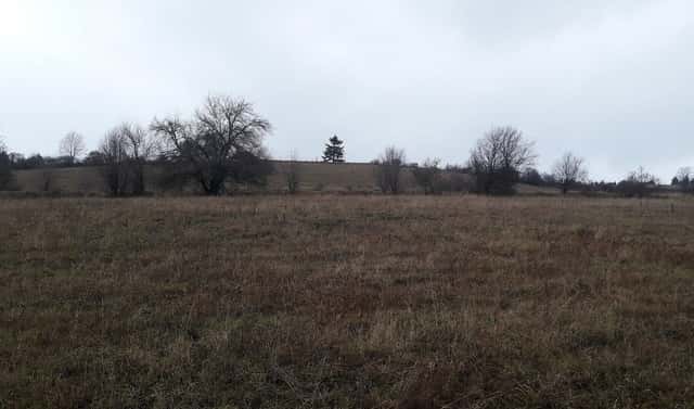 Prodej pole 25 028 m², Teplice nad Metují – Dolní Teplice, okres Náchod