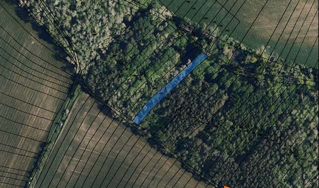 Prodej lesa 766 m², Borkovany, okres Břeclav