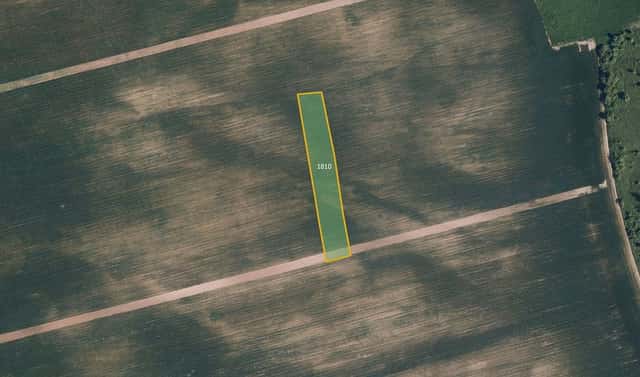 Prodej pole 6 477 m², Boleradice, okres Břeclav
