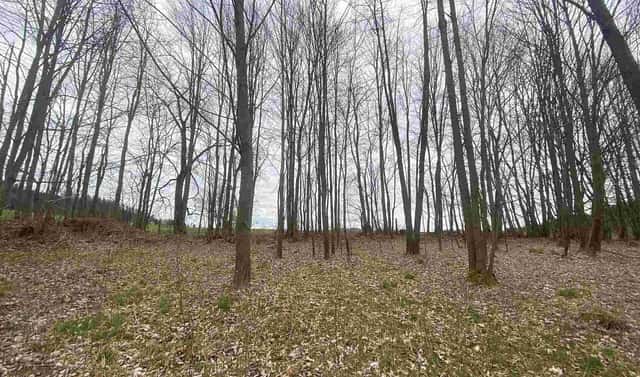Prodej pozemku 4 837 m², Žinkovy, okres Plzeň-jih