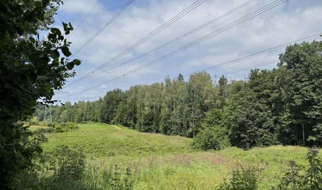 Prodej vodní plochy 12 501 m², Hodějice, okres Vyškov