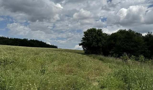 Prodej pole 4 916 m², Lipová – Benešov nad Ploučnicí, okres Prostějov