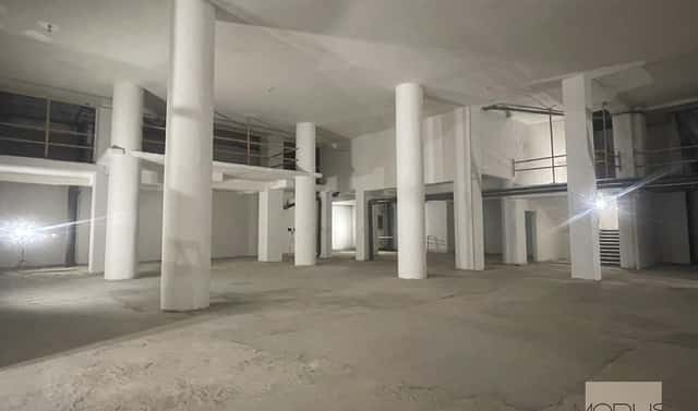 Pronájem obchodních prostor 1 000 m², Opletalova, Praha 1 – Nové Město