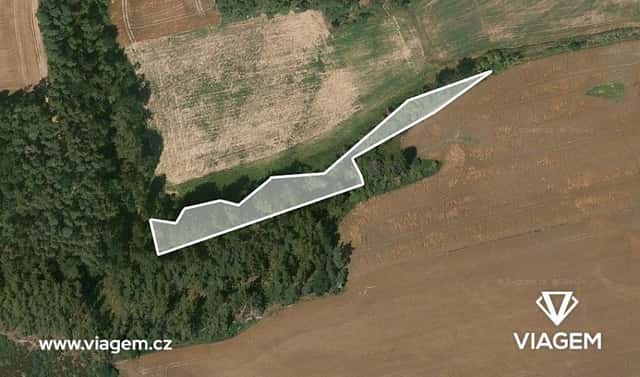 Prodej lesa 2 437 m², Šípy, okres Rakovník