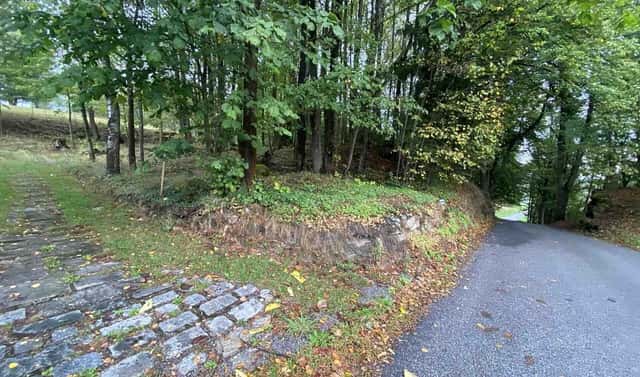 Prodej stavebního pozemku 3 849 m², Benešov nad Černou – Kuří, okres Český Krumlov