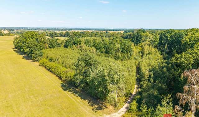 Prodej lesa 37 347 m², Pardubice – Pardubice-Staré Město