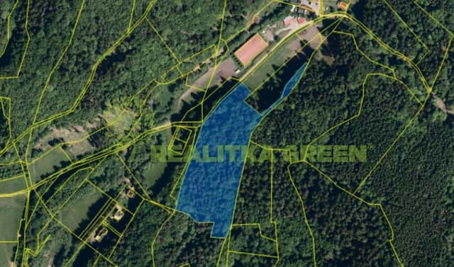 Prodej lesa 17 966 m², Všemina, okres Zlín