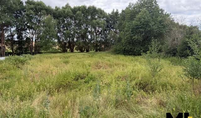 Prodej louky 1 500 m², Horšovský Týn, okres Domažlice