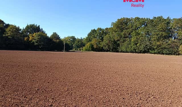 Prodej louky 10 890 m², Konárovice, okres Kolín