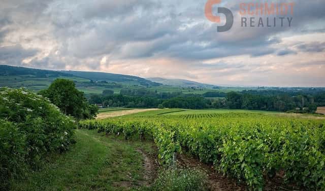Prodej pozemku 6 535 m², Klentnice, okres Břeclav
