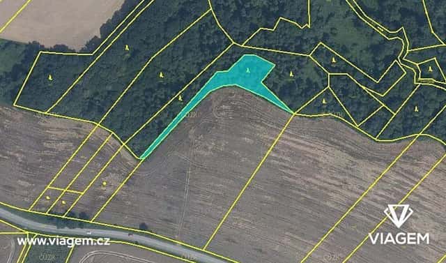 Prodej lesa 2 180 m², Olbramice, okres Ostrava-město