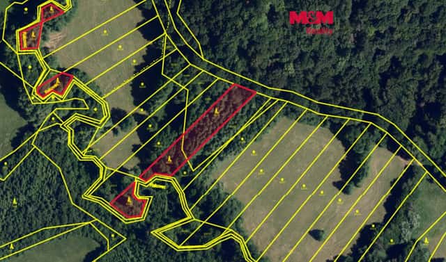 Prodej lesa 3 765 m², Ruprechtov, okres Vyškov