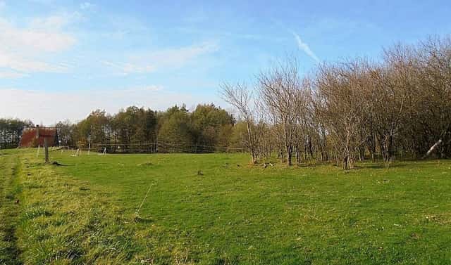 Prodej stavebního pozemku 1 203 m², Vrchlického, Frýdlant, okres Liberec