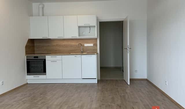 Prodej bytu 1+kk 46 m², Železná, Plzeň – Jižní Předměstí, okres Plzeň-město