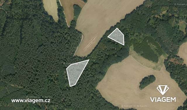 Prodej lesa 4 193 m², Snědovice, okres Litoměřice