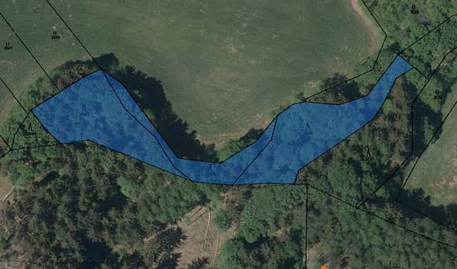Prodej lesa 4 299 m², Syřenov, okres Semily