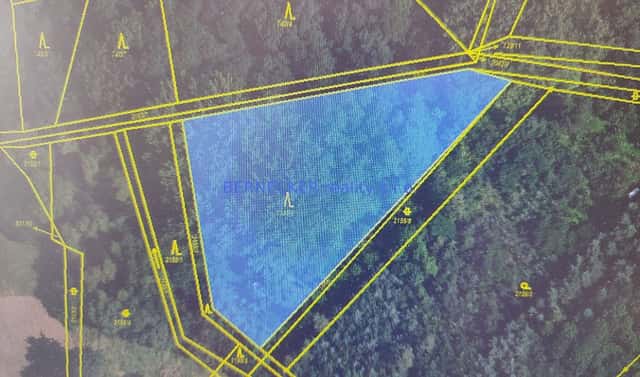 Prodej lesa 5 127 m², Rasošky, okres Náchod