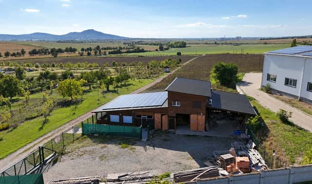 Prodej obchodních prostor 1 000 m², Starovičky, okres Břeclav