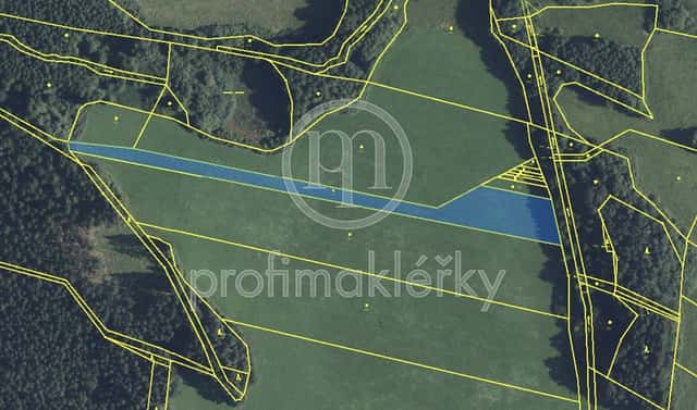 Prodej louky 5 639 m², Opatov, okres Svitavy