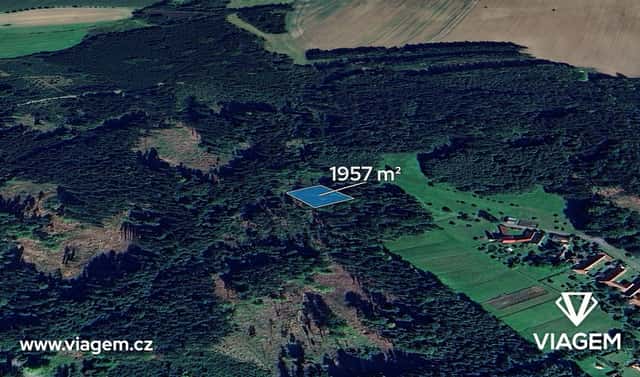 Prodej lesa 1 467 m², Vyklantice, okres Pelhřimov