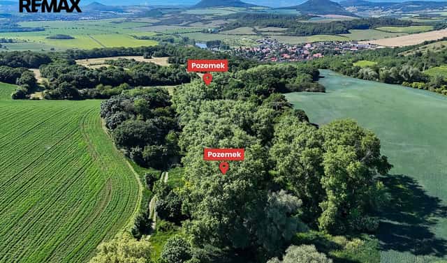 Prodej lesa 5 841 m², Skršín, okres Most