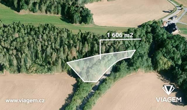 Prodej lesa 803 m², Čím, okres Příbram