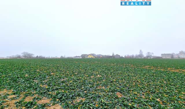 Prodej stavebního pozemku 5 343 m², Štěpánkovice, okres Opava