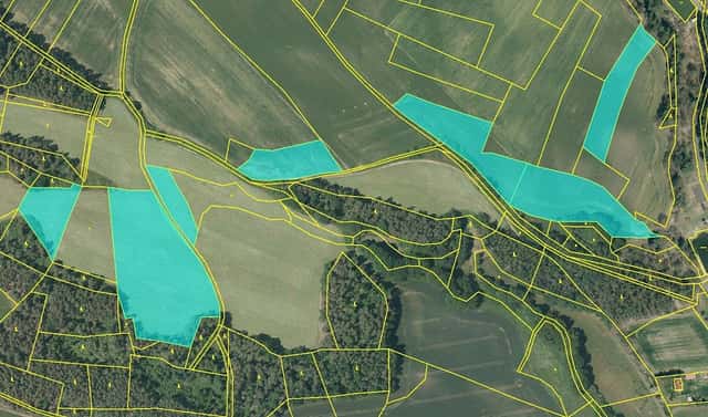 Prodej pole 72 131 m², Velký Bor – Slivonice, okres Klatovy